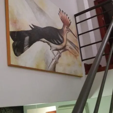 El Aura Apartment *